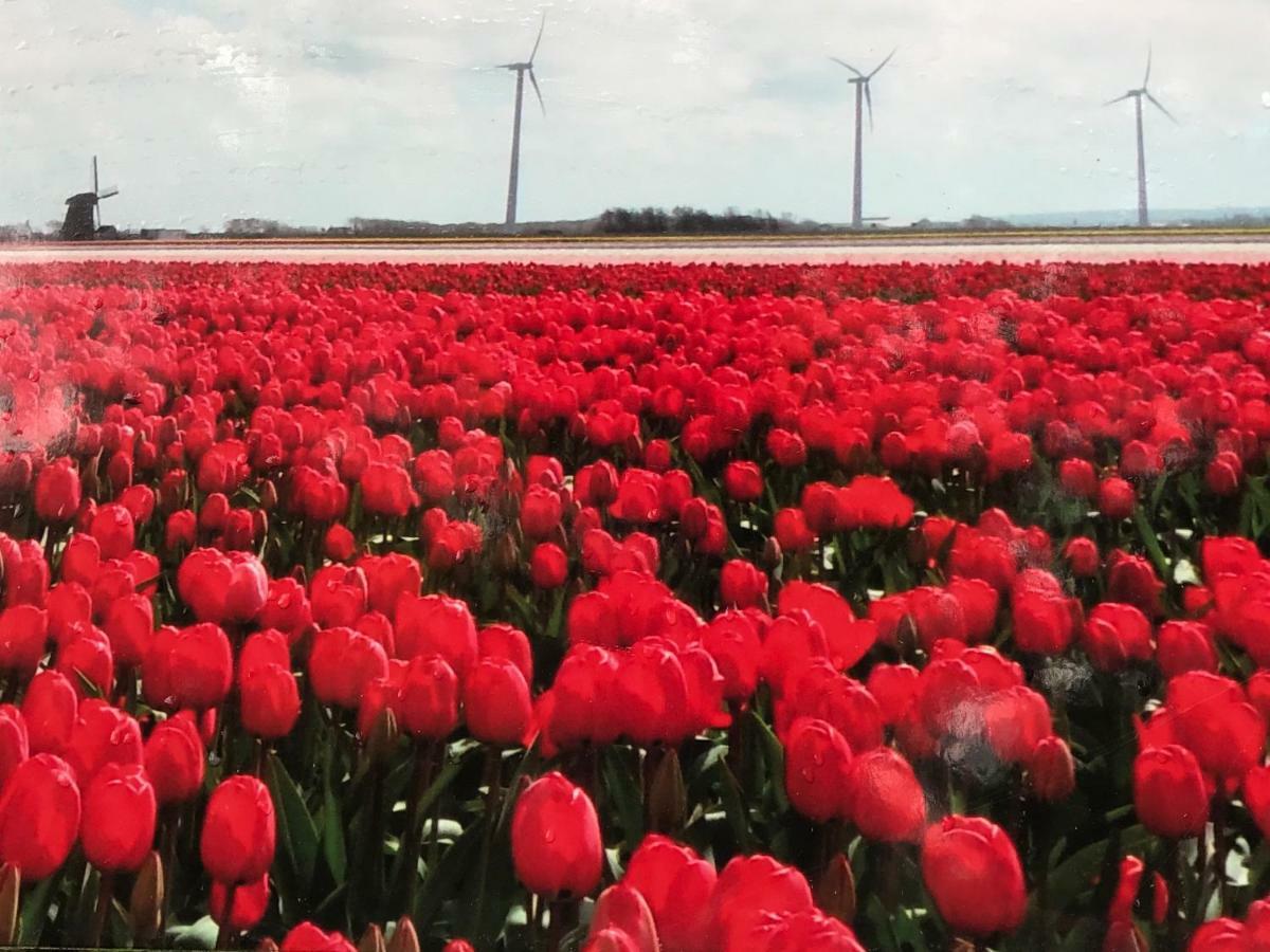 Vakantiehuis Aan Zee Sint Maartensvlotbrug 外观 照片
